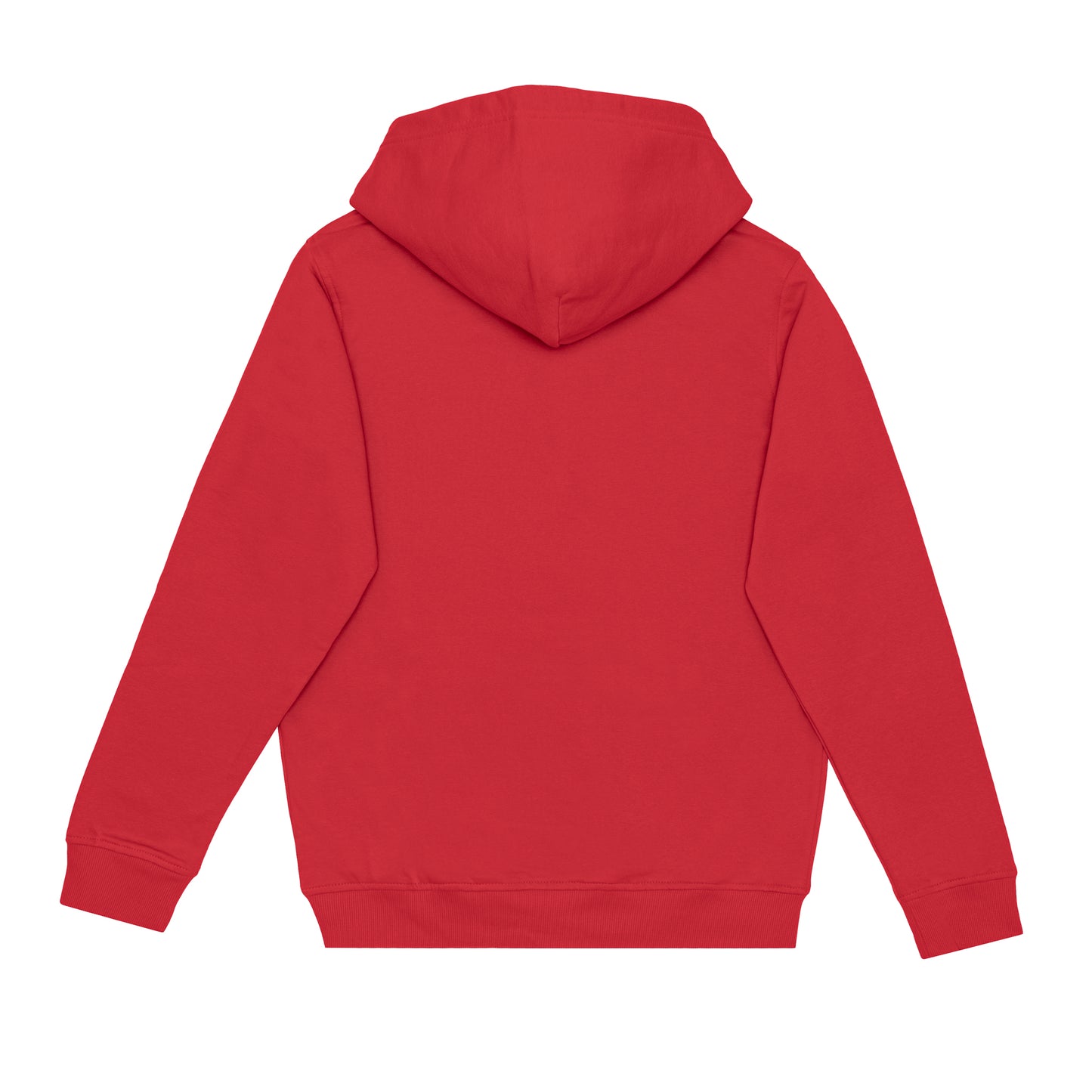 HERO-2020 Unisex Hoodie