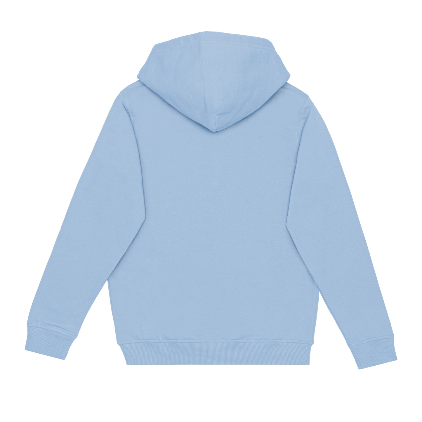 HERO-2020 Unisex Hoodie